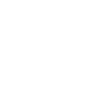 Enfusion