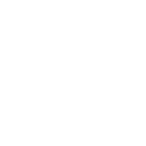 f 3